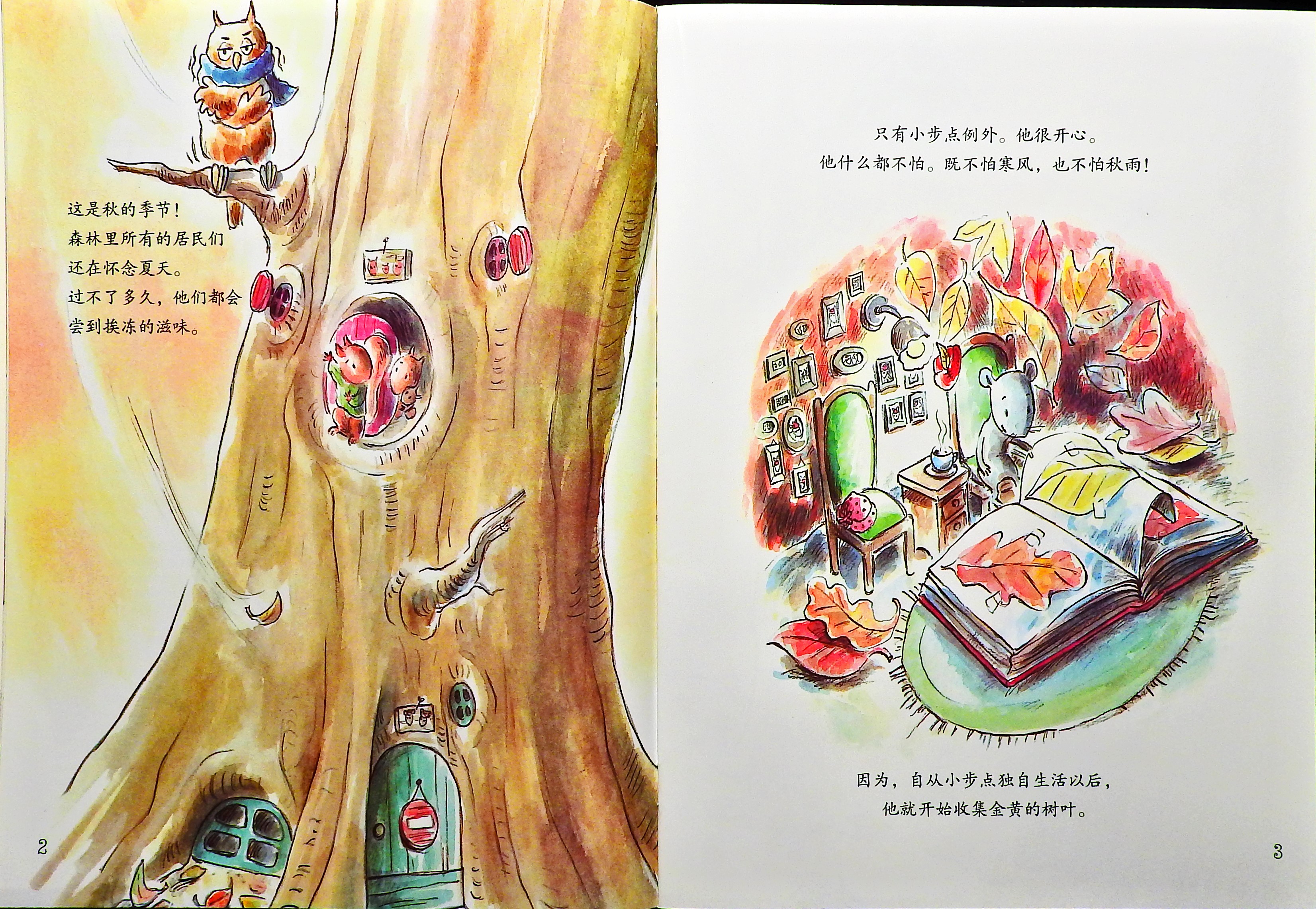 小步点的收藏品 (05),绘本,绘本故事,绘本阅读,故事书,童书,图画书,课外阅读